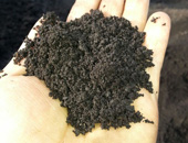 Black Diamond Soil Services